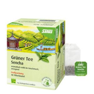 GRÜNER TEE Bio Salus Filterbeutel Großpackung